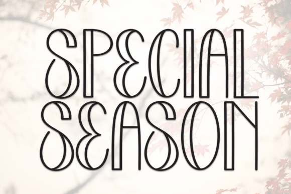 Special Season: A Designer’s Practical Review